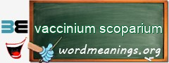 WordMeaning blackboard for vaccinium scoparium